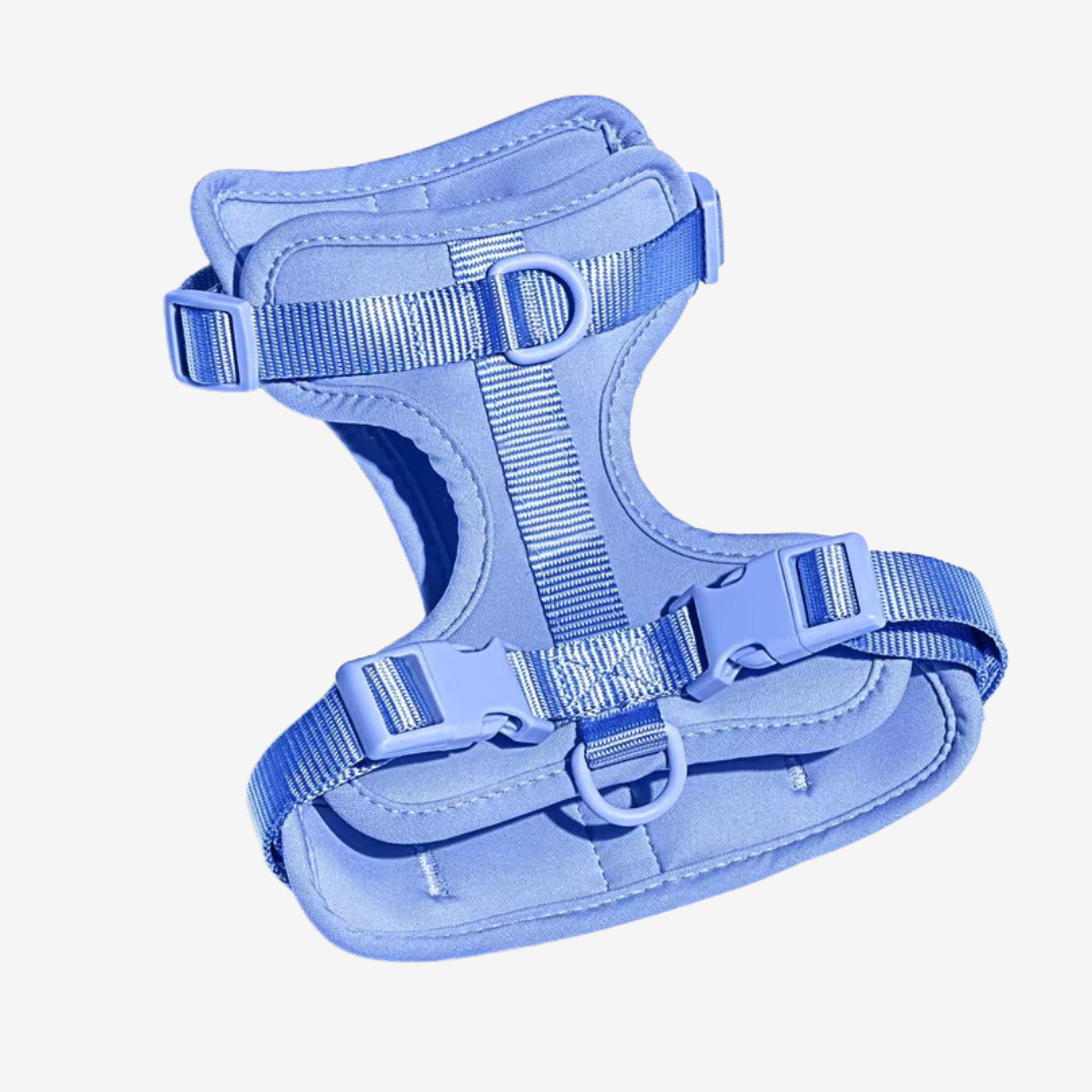 Blå hundsele i premiumdesign med justerbar passform och vadderad insida. Ergonomisk och bekväm, perfekt för både små och stora hundar. Passar för promenader och utomhusaktiviteter.