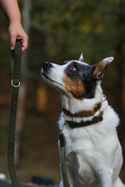 Hundkoppel och halsband i teddy fleece, brun och grön, mjukt och slitstarkt för aktiva hundar