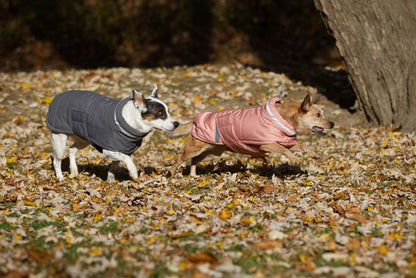 Rosa och silvergrå vinter puffer hundjacka, vattenavvisande och vindtät