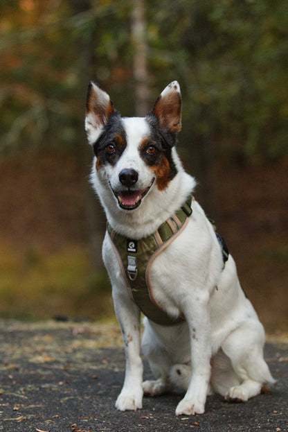 Justerbar hundsele Duomm med reflekterande detaljer och easy-grab handtag, khaki färg, framsida