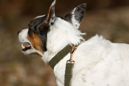 Skogsgrönt teddy fleece hundhalsband med koppel, slitstarkt och mjukt, närbild